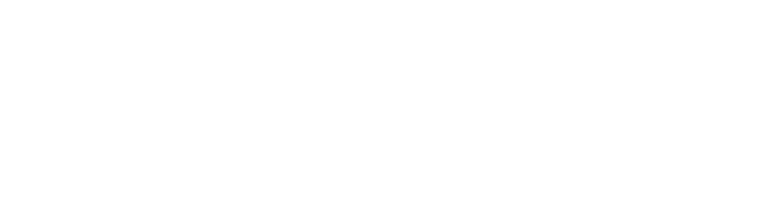 Star Fall Festival